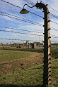 a 005